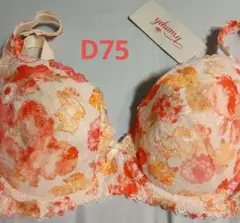 トリンプ　D75