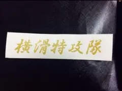 Item thumbnail for item 97a91fcb-157a-4dcf-a7bf-b3ceb20583d6