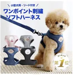 Item thumbnail for item 7f6ecfe5-c61e-45c4-b798-d1d56dae5154