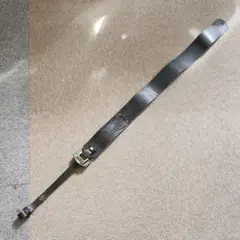 Item thumbnail for item 0fd30565-e2ff-404b-b470-de689c5c13ab