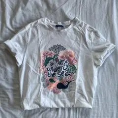 Okaidi surfrider Tシャツ 限定コレクションフランスブランド