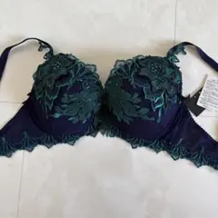 ☆ワコール サルート H70☆34G