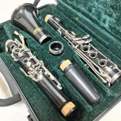 本日で出品終了！！超特価セール！！ケルントナー / B♭管Tp（新古品ランク 2025年最新】クラリネット KAERNTNERの人気アイテム - メルカリ