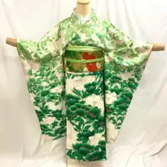【振袖19】着物 振袖 正絹 袷 着物 椿 菊 単品販売 ~163cm