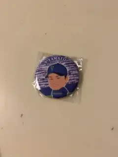 横浜Denaベイスターズ 大和選手 缶バッチ