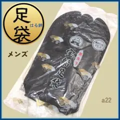 Item thumbnail for item 12b899a4-dd2f-4e8b-99e9-73d732373062