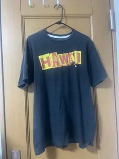 VOLCOM Hawaii Tシャツ XLサイズ