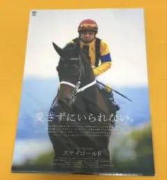 JRA ステイゴールド クリアファイル ヒーロー列伝49 競馬
