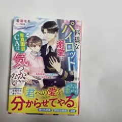 一匹狼なパイロットの溺愛