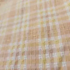 Item thumbnail for item e4c65619-d5ce-46fb-99ad-2b02827716dc