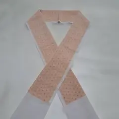 Item thumbnail for item 43ae685c-630d-4830-a748-50a56868459d