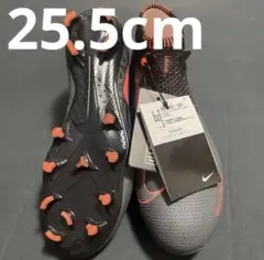 Item thumbnail for item 23461930-1026-4e31-889f-5d64ef3ae804