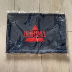 Item thumbnail for item 9fa09f5a-eaaf-446a-8be3-bc1ccebb66d8