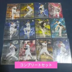 プロ野球チップス2025 第1弾　チェックリスト、タイトルホルダー　27枚セット