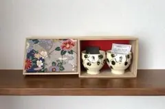 Item thumbnail for item 2b215f0e-c59f-42ee-9a05-ab5e7d1cf895