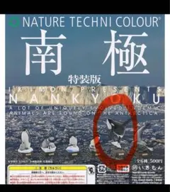 ネイチャーテクニカラー　南極　シャチ