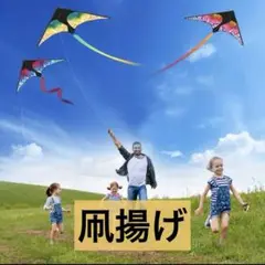 カラフルな幾何学模様のカイト 凧揚げ