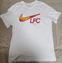 Item thumbnail for item 2cea13c6-647d-45c7-9aaa-94a09d190fef