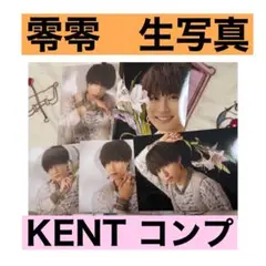 2025年最新】龍宮城 生写真 集合の人気アイテム - メルカリ