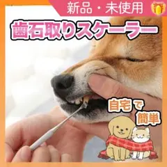 Item thumbnail for item 312b64c9-4073-448c-b48c-1ee2aee3d221
