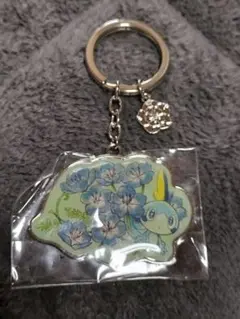 ポケモン　メッソン　キーホルダー　ネモフィラ