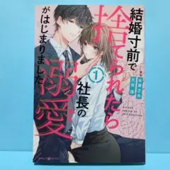 結婚寸前で捨てられたら社長の溺愛がはじまりました1