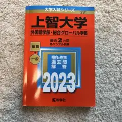上智大学(外国語学部・総合グローバル学部)