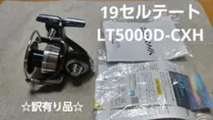 【訳有り品】ダイワリール 19セルテート LT5000D-CXH 【初心者など】