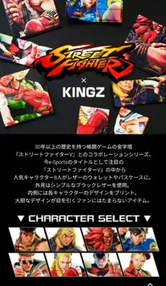 ストリートファイターⅡ　Samantha Thavasa　KINGZ カード入れ