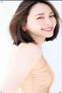 新垣結衣　ブリキ看板
