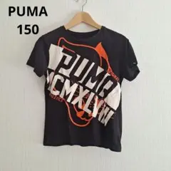 PUMA　グラフィックTシャツ　150　プーマ　　ブラック