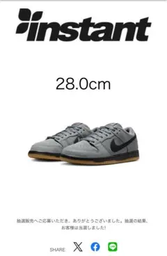 NikeSBDunkLowProISO“CoolGrey/Black” 28CM
