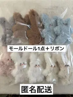 モールドールとリボンセット