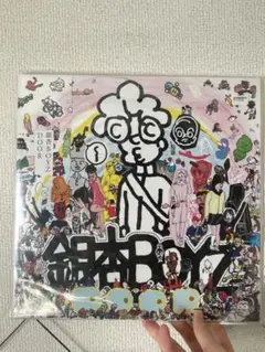銀杏BOYZ DOOR LP レコード