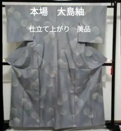 本場 大島紬 仕立て上がり品 美品