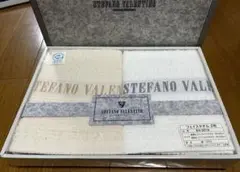 STEFANO VALENTINO フェイスタオル 2枚セット SV-5010