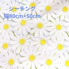 デイジー柄 綿生地　シーチング 幅80cm×50cm