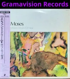 Bob Moses  When Elephants Dream Of Music