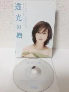 2025年最新】透光の樹 [dvd]の人気アイテム - メルカリ