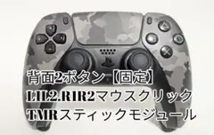 Item thumbnail for item 453a063f-e549-4e25-be02-0413c66a45c7