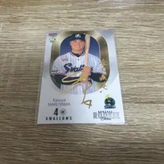 東京ヤクルトスワローズ swallows 直筆サイン グッズまとめ売り 丸山和郁 05231818_646c84d7838e4.jpg