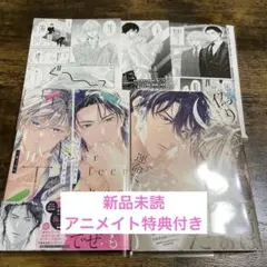 アンパーフェクト・ティーチャー/偽りのΩは運命に啼く　アニメイトセット