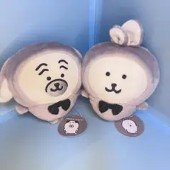 Item thumbnail for item 091257bd-1235-42c5-9fec-3d4bdb0657ab