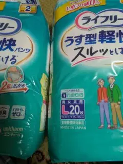 Item thumbnail for item 448602c0-7329-4dee-92d3-08ec53ae073a