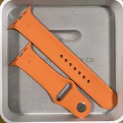 AppleWatch エルメス スポーツバンド 42mm Apple Watch