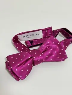 Item thumbnail for item 6f3b6ccc-735a-40b7-8e7a-fdc5166f1d1c