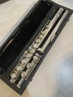 2025年最新】ALTUS 管楽器・吹奏楽器の人気アイテム - メルカリ