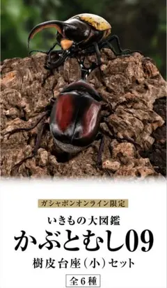 いきもの大図鑑　かぶとむし09