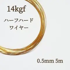 Item thumbnail for item ff679f2f-80e2-40fc-8482-83a8e0b90343