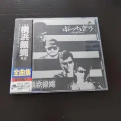 横浜銀蠅